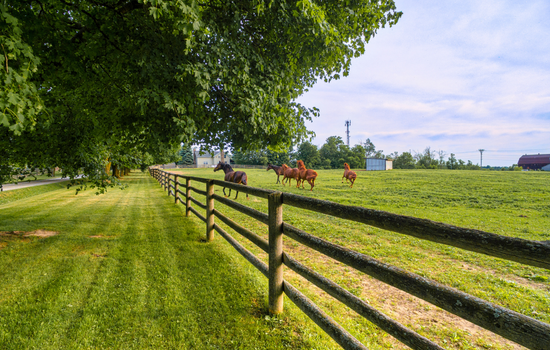 ranch style fence