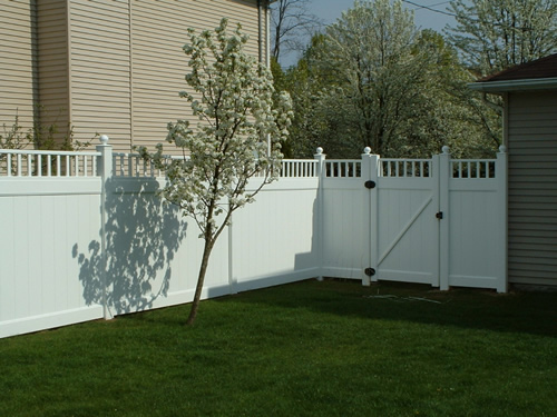 Can You Paint Vinyl Fencing Options? Your DIY Guide For Beginners