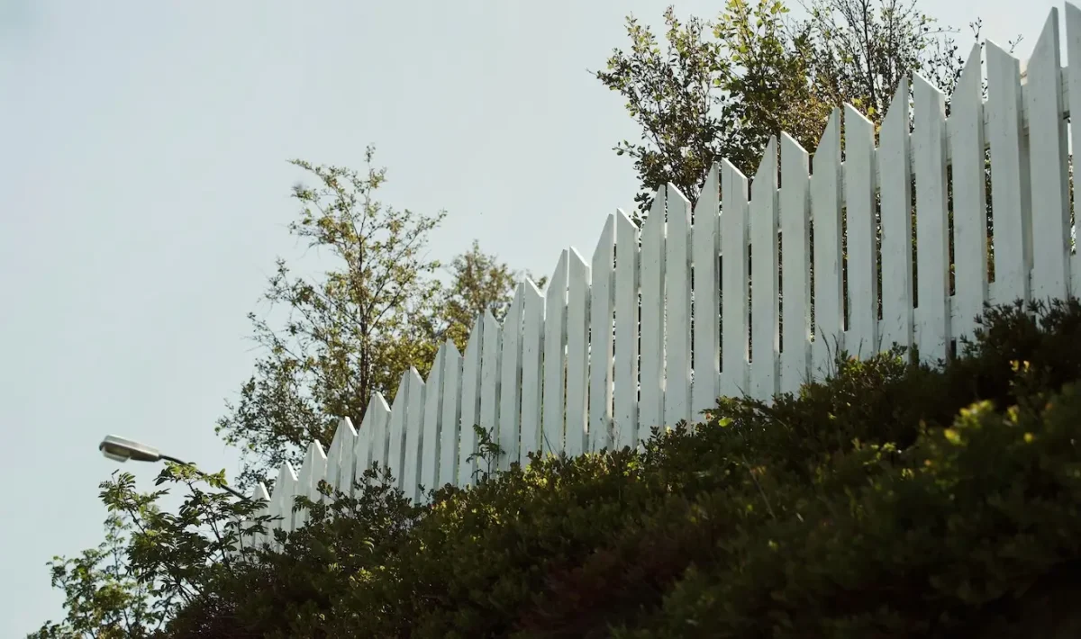 White picket fence behind hedge.